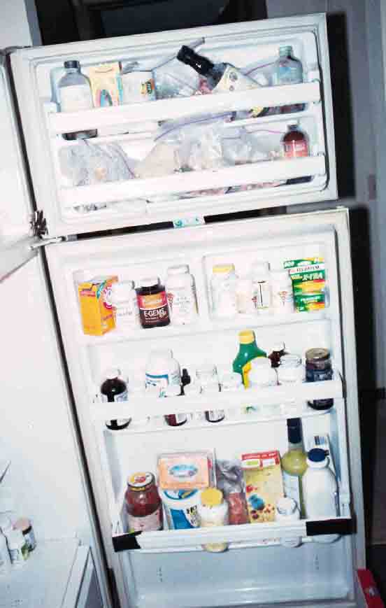 Image of contents of fridge