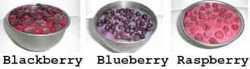 Instant Berry Pudding Pie Filling