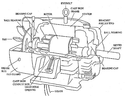 Cut-away diagram of a three-phase motor.