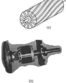 Diagram of a squirrel- cage rotor for an AC motor. (b) Picture of a squirrel-cage rotor for an AC motor.