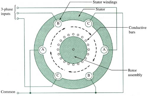 A Basic Three-Phase Induction Motor