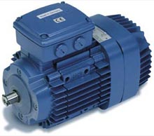 typical AC induction motor. This one is made by Demag