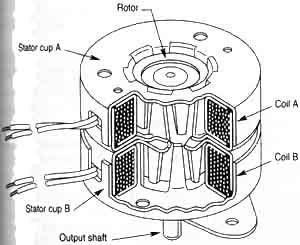 Cut-away diagram of a permanenet-magnet stepper motor.