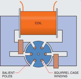 COIL SALIENT POLES SQUIRREL CAGE WINDING 